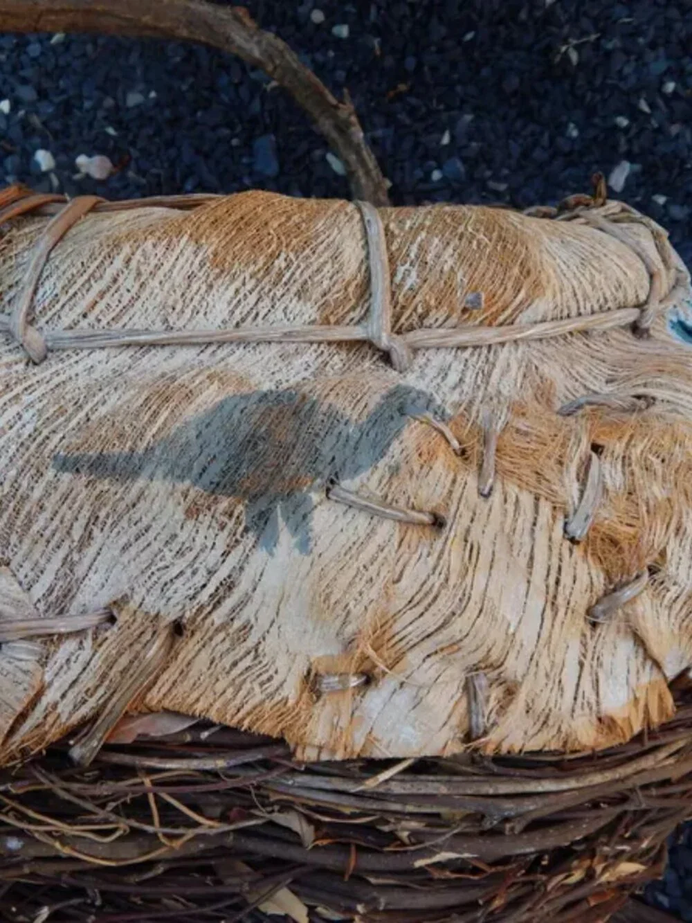 Vintage Coconut Husk & Twig Native American Style Southwestern Basket *****